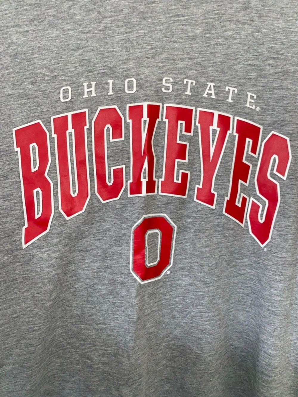 Champion Gray T-Shirt with Red Buckeyes Print - Picture 5 of 5